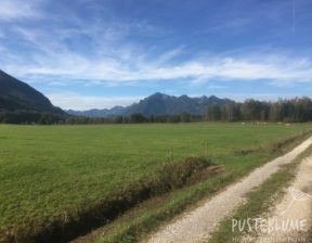 Saftige Wiese mit Bergen im Hintergrund